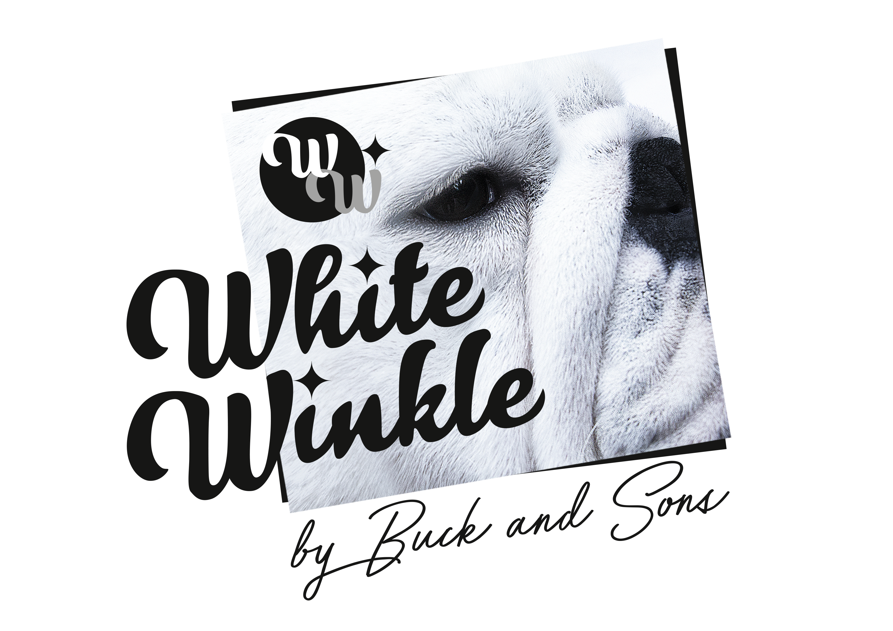 white winkle -prodotto- cosmetico- rughe- bulldog inglesi -cani